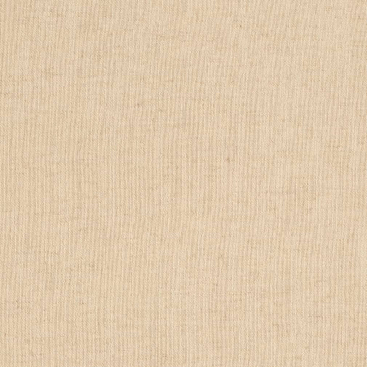 D3973 by Charlotte Designer Fabric Casual Linen 45% Viscose, 35% Polyester, 20% Linen, 16 oz. Asia Exceeds 50,000 Wyzenbeek Rubs (Heavy Duty) No Repeat 54 Inches - Swanky Fabrics -