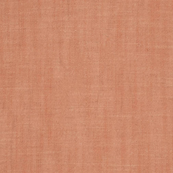 D3978 by Charlotte Fabric Casual Linen 45% Viscose, 35% Polyester, 20% Linen, 16 oz. Asia Exceeds 50,000 Wyzenbeek Rubs (Heavy Duty) No Repeat 54 Inches - Fabric Carolina -