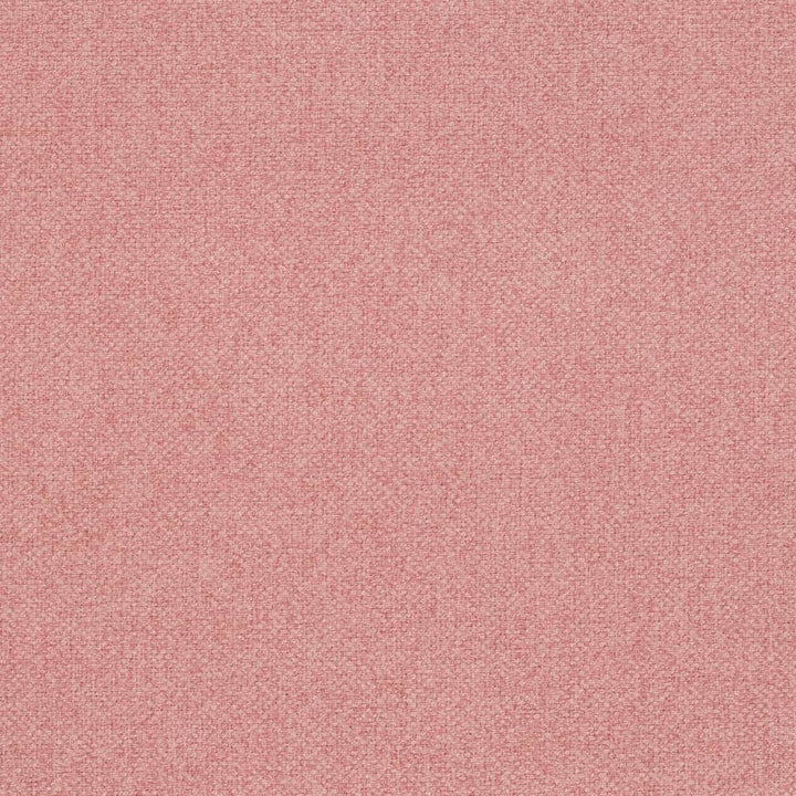 D4010 by Charlotte Designer Fabric Simply Solid 100% Polyester Asia Exceeds 70,000 Wyzenbeek Rubs (Heavy Duty) No Repeat 54 Inches - Swanky Fabrics -