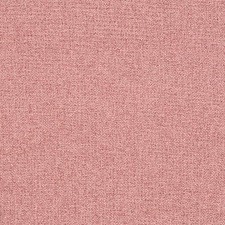 D4010 by Charlotte Fabric Simply Solid 100% Polyester Asia Exceeds 70,000 Wyzenbeek Rubs (Heavy Duty) No Repeat 54 Inches - Fabric Carolina -