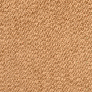 D401 Camel by Charlotte Fabric