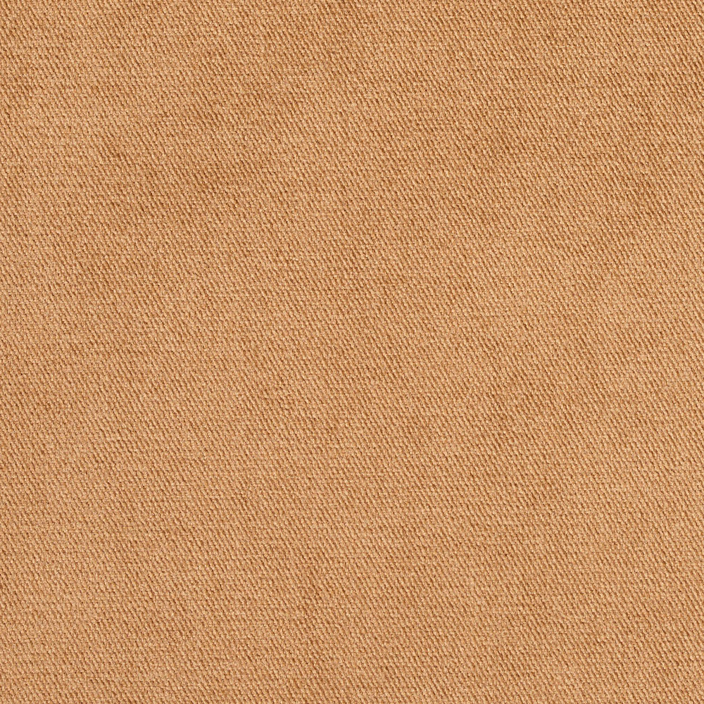 D401 Camel by Charlotte Fabric Animal Microfibers 100% Woven Polyester Made In USA Exceeds 200,000 Wyzenbeek Rubs (Heavy Duty) </p><p>Repeat: No Repeat 54 Inches - Fabric Carolina -