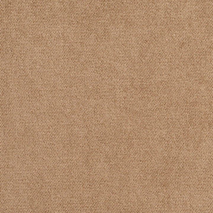 D404 Sandstone by Charlotte Fabric Animal Microfibers 100% Woven Polyester Made In USA Exceeds 200,000 Wyzenbeek Rubs (Heavy Duty) No Repeat 54 Inches - Fabric Carolina -