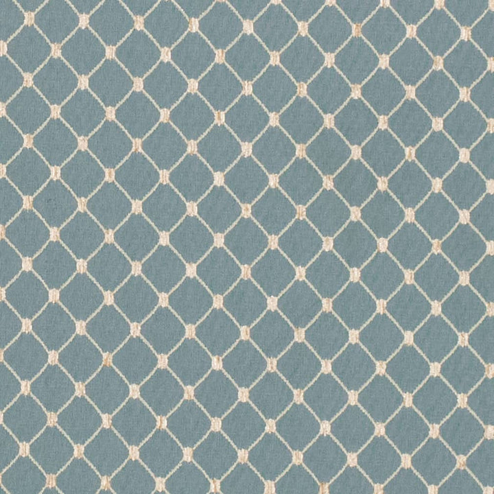 D4091 by Charlotte Fabric Heirloom 100% Polyester Asia Exceeds 100,000 Wyzenbeek Rubs (Heavy Duty) Horizontal 1" x Vertical 1.25" 54 Inches - Fabric Carolina -
