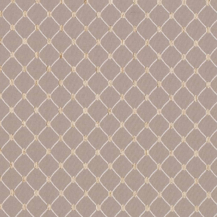 D4094 by Charlotte Fabric Heirloom 100% Polyester Asia Exceeds 100,000 Wyzenbeek Rubs (Heavy Duty) Horizontal 1" x Vertical 1.25" 54 Inches - Fabric Carolina -