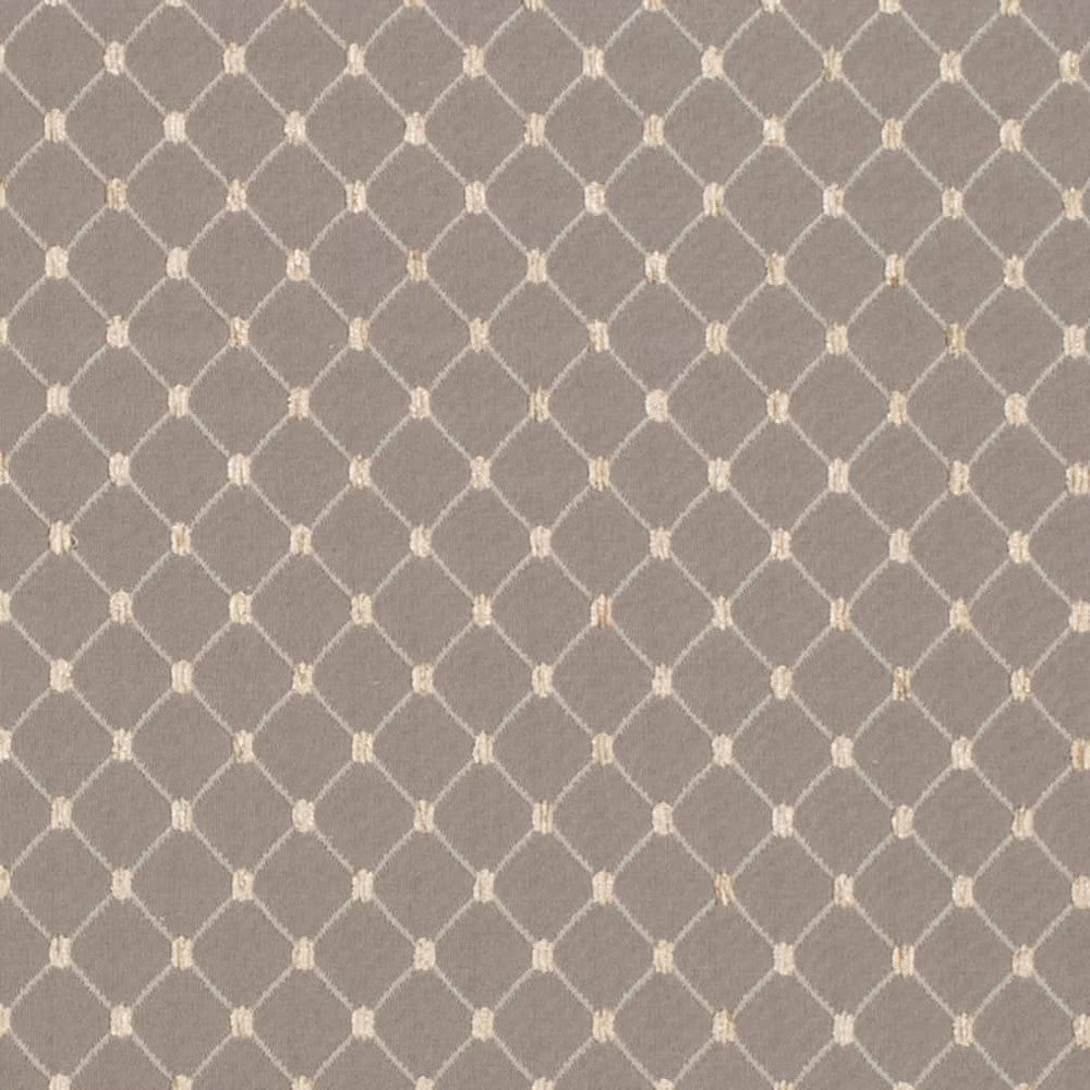 D4095 by Charlotte Fabric Heirloom 100% Polyester Asia Exceeds 100,000 Wyzenbeek Rubs (Heavy Duty) Horizontal 1" x Vertical 1.25" 54 Inches - Fabric Carolina -