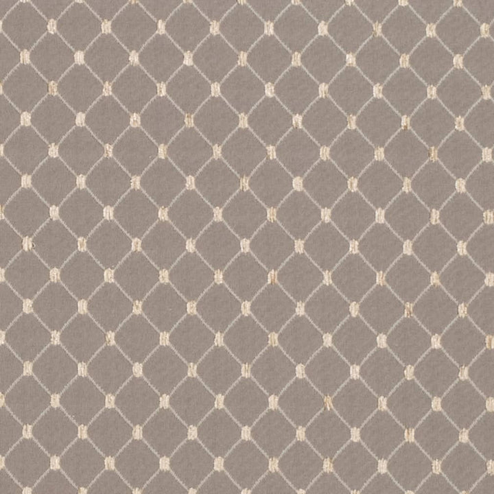 D4095 by Charlotte Fabric Heirloom 100% Polyester Asia Exceeds 100,000 Wyzenbeek Rubs (Heavy Duty) Horizontal 1" x Vertical 1.25" 54 Inches - Fabric Carolina -