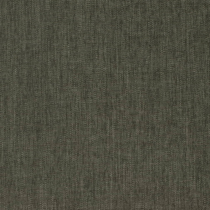 D4150 Jungle by Charlotte Fabric Crypton Colors II 100% Polyester Finished in USA Exceeds 120,000 Wyzenbeek Rubs (Heavy Duty) No Repeat 54 Inches - Fabric Carolina -