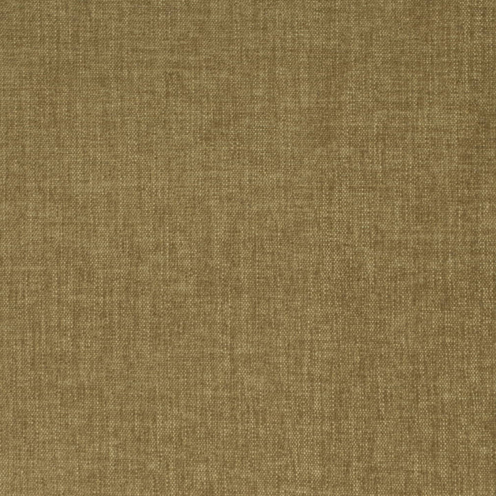 D4151 Olive by Charlotte Fabric Crypton Colors II 100% Polyester Finished in USA Exceeds 120,000 Wyzenbeek Rubs (Heavy Duty) No Repeat 54 Inches - Fabric Carolina -