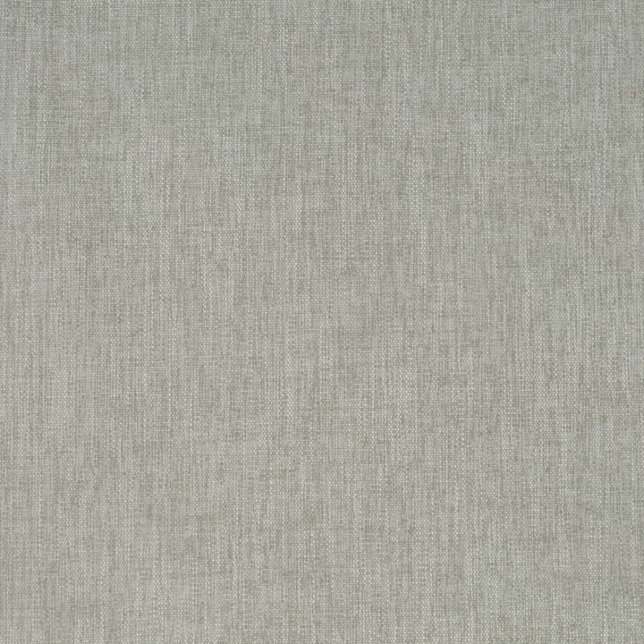 D4157 Lichen by Charlotte Fabric Crypton Colors II 100% Polyester Finished in USA Exceeds 120,000 Wyzenbeek Rubs (Heavy Duty) No Repeat 54 Inches - Fabric Carolina -