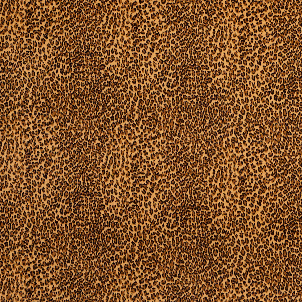 D415 Cheetah by Charlotte Fabric Animal Microfibers 100% Nylon Microfiber Made In USA Exceeds 200,000 Wyzenbeek Rubs (Heavy Duty) Random 54 Inches - Fabric Carolina -