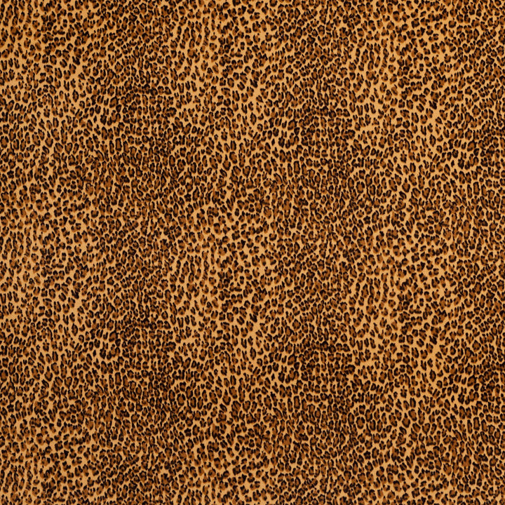 D415 Cheetah by Charlotte Fabric Animal Microfibers 100% Nylon Microfiber Made In USA Exceeds 200,000 Wyzenbeek Rubs (Heavy Duty) Random 54 Inches - Fabric Carolina -