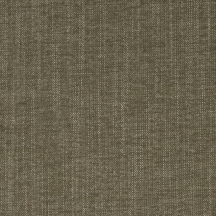 D4163 Moss by Charlotte Fabric Crypton Colors II 92% Polyester, 8% Linen Finished in USA Exceeds 100,000 Wyzenbeek Rubs (Heavy Duty) No Repeat 54 Inches - Fabric Carolina -