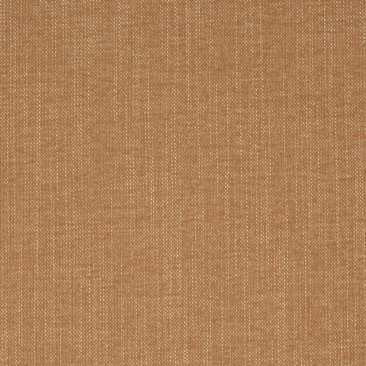 D4164 Caramel by Charlotte Fabric Crypton Colors II 92% Polyester, 8% Linen Finished in USA Exceeds 100,000 Wyzenbeek Rubs (Heavy Duty) No Repeat 54 Inches - Fabric Carolina -