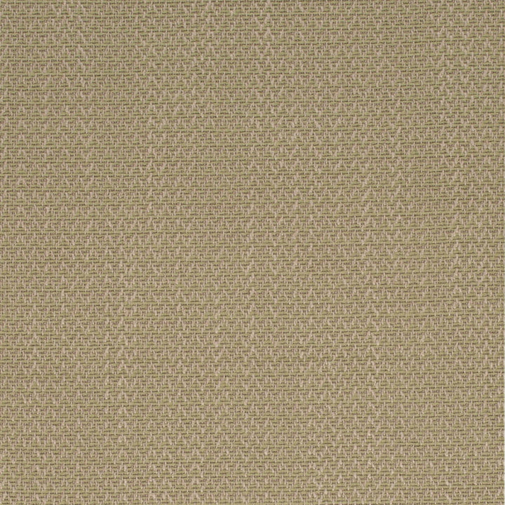 D4169 Fern by Charlotte Fabric Crypton Colors II 93% Polyester, 7% Linen Finished in USA Exceeds 200,000 Wyzenbeek Rubs (Heavy Duty) No Repeat 54 Inches - Fabric Carolina -