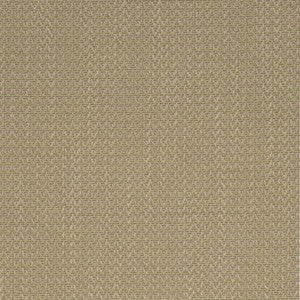 D4169 Fern by Charlotte Fabric
