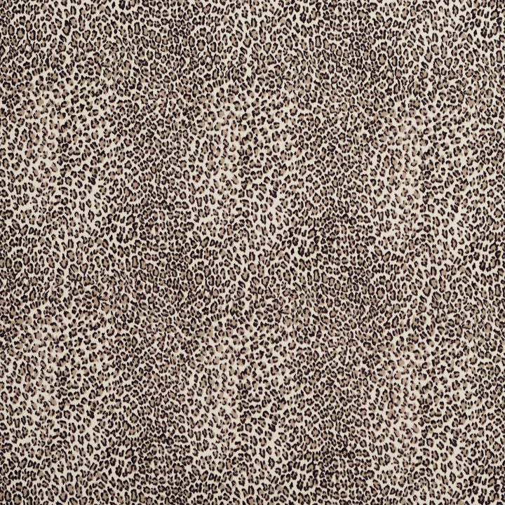 D416 Marble Cheetah by Charlotte Fabric Animal Microfibers 100% Nylon Microfiber Made In USA Exceeds 200,000 Wyzenbeek Rubs (Heavy Duty) Random 54 Inches - Fabric Carolina -