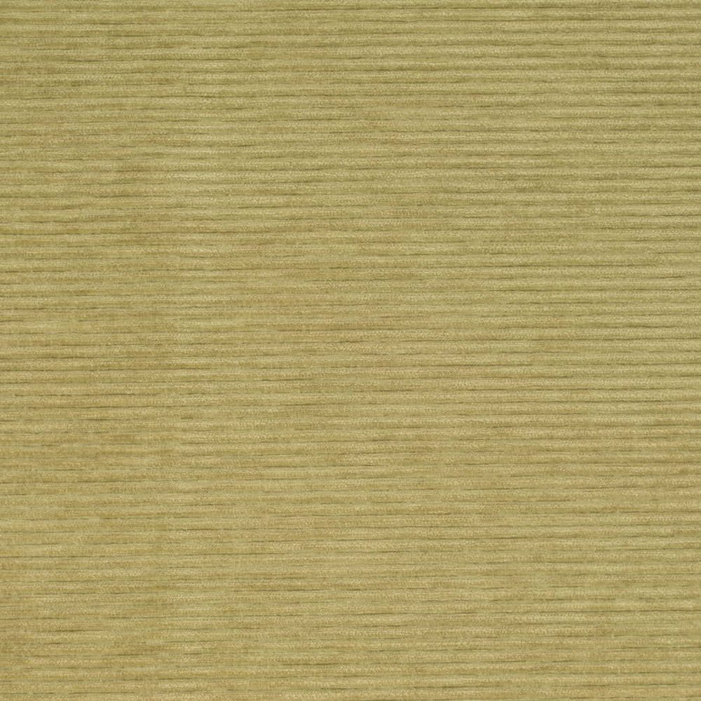 D4170 Pear by Charlotte Fabric Crypton Colors II 100% Polyester Finished in USA Exceeds 100,000 Wyzenbeek Rubs (Heavy Duty) No Repeat 54 Inches - Fabric Carolina -