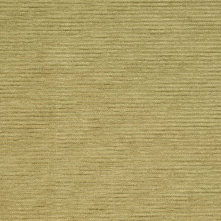 D4170 Pear by Charlotte Fabric Crypton Colors II 100% Polyester Finished in USA Exceeds 100,000 Wyzenbeek Rubs (Heavy Duty) No Repeat 54 Inches - Fabric Carolina -
