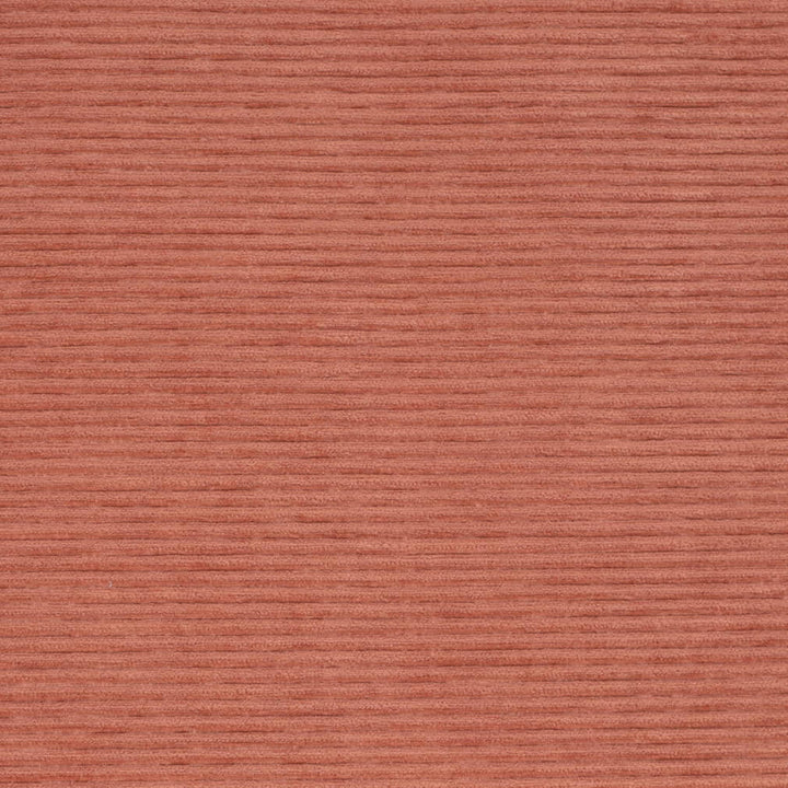 D4175 Coral by Charlotte Fabric Crypton Colors II 100% Polyester Finished in USA Exceeds 100,000 Wyzenbeek Rubs (Heavy Duty) No Repeat 54 Inches - Fabric Carolina -