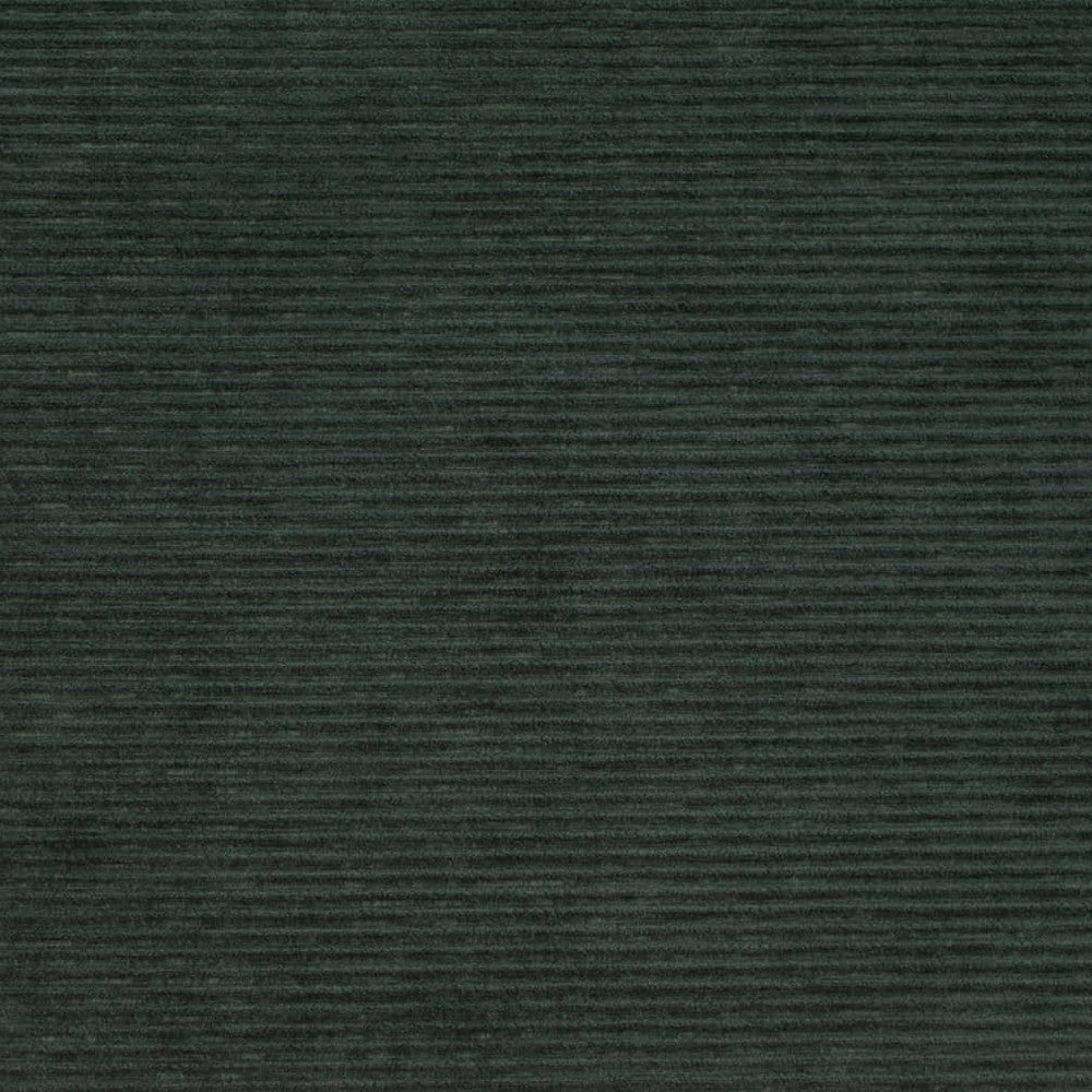 D4182 Hunter by Charlotte Fabric Crypton Colors II 100% Polyester Finished in USA Exceeds 100,000 Wyzenbeek Rubs (Heavy Duty) No Repeat 54 Inches - Fabric Carolina -