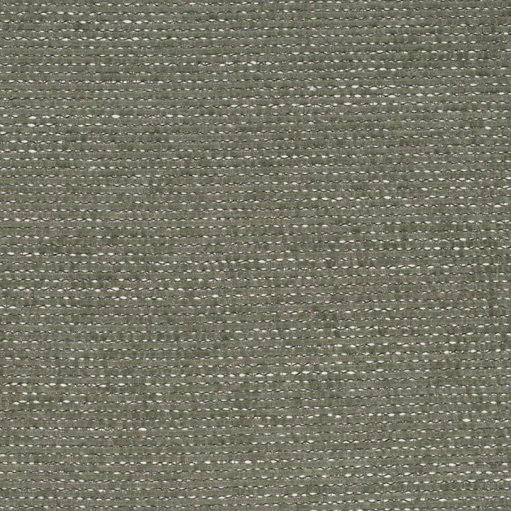 D4216 Green by Charlotte Fabric Crypton Colors II 100% Polyester Finished in USA Exceeds 120,000 Wyzenbeek Rubs (Heavy Duty) No Repeat 54 Inches - Fabric Carolina -
