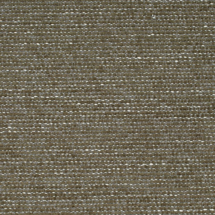 D4217 Basil by Charlotte Fabric Crypton Colors II 100% Polyester Finished in USA Exceeds 120,000 Wyzenbeek Rubs (Heavy Duty) No Repeat 54 Inches - Fabric Carolina -