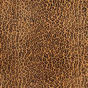 D421 Beige Bobcat by Charlotte Fabric