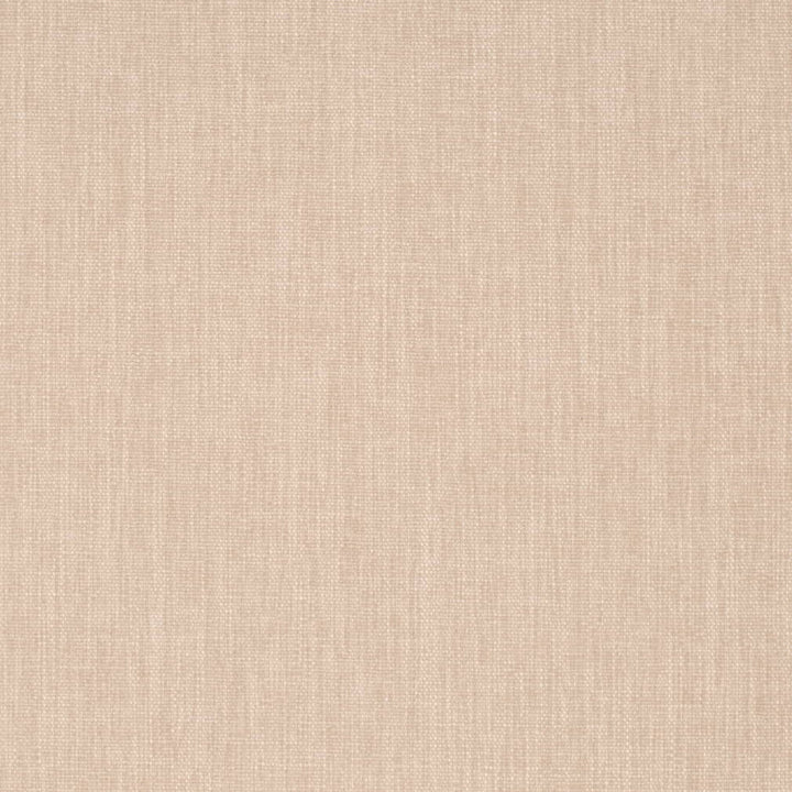 D4227 Bone by Charlotte Fabric Crypton Neutrals II 100% Polyester Finished in USA Exceeds 120,000 Wyzenbeek Rubs (Heavy Duty) No Repeat 54 Inches - Fabric Carolina -
