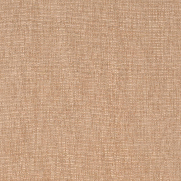 D4228 Straw by Charlotte Fabric Crypton Neutrals II 100% Polyester Finished in USA Exceeds 120,000 Wyzenbeek Rubs (Heavy Duty) No Repeat 54 Inches - Fabric Carolina -