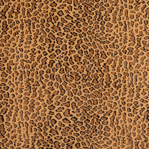 D422 Bobcat by Charlotte Fabric
