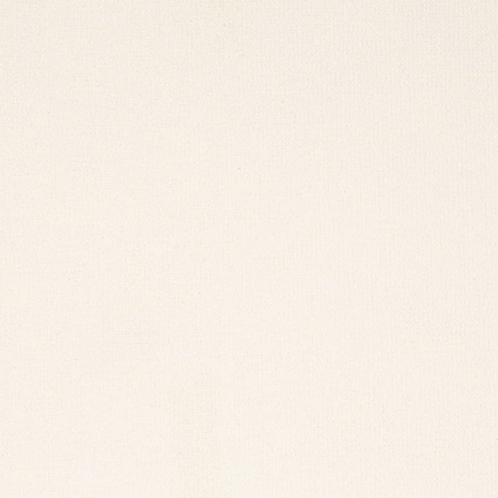 D4234 Marshmallow by Charlotte Fabric Crypton Neutrals II 92% Polyester, 8% Linen Finished in USA Exceeds 100,000 Wyzenbeek Rubs (Heavy Duty) No Repeat 54 Inches - Fabric Carolina -