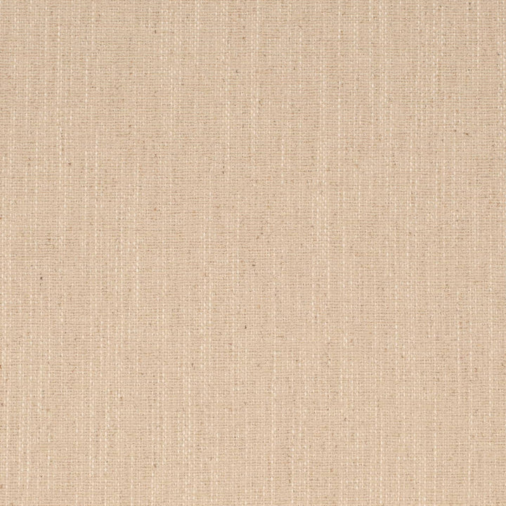 D4237 Oat by Charlotte Fabric Crypton Neutrals II 92% Polyester, 8% Linen Finished in USA Exceeds 100,000 Wyzenbeek Rubs (Heavy Duty) No Repeat 54 Inches - Fabric Carolina -