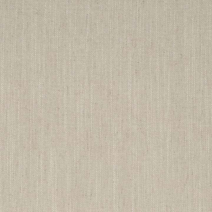 D4239 Pebble by Charlotte Fabric Crypton Neutrals II 92% Polyester, 8% Linen Finished in USA Exceeds 100,000 Wyzenbeek Rubs (Heavy Duty) No Repeat 54 Inches - Fabric Carolina -