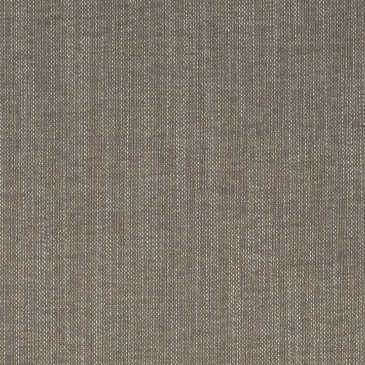 D4241 Mushroom by Charlotte Fabric Crypton Neutrals II 92% Polyester, 8% Linen Finished in USA Exceeds 100,000 Wyzenbeek Rubs (Heavy Duty) No Repeat 54 Inches - Fabric Carolina -
