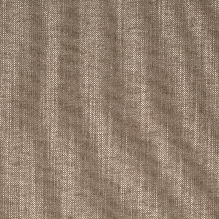 D4242 Burlap by Charlotte Fabric Crypton Neutrals II 92% Polyester, 8% Linen Finished in USA Exceeds 100,000 Wyzenbeek Rubs (Heavy Duty) No Repeat 54 Inches - Fabric Carolina -