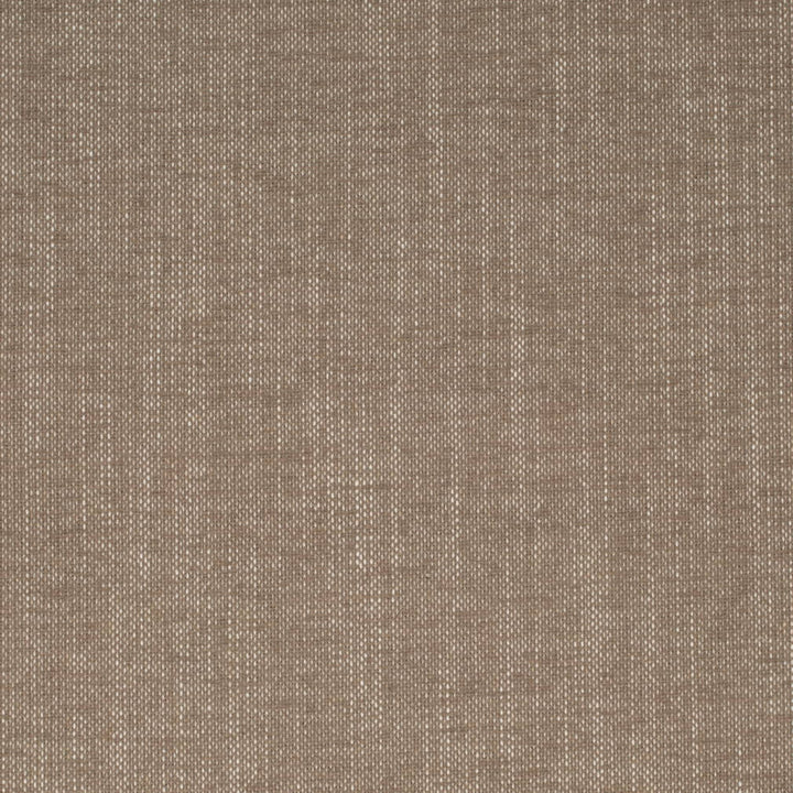 D4242 Burlap by Charlotte Fabric Crypton Neutrals II 92% Polyester, 8% Linen Finished in USA Exceeds 100,000 Wyzenbeek Rubs (Heavy Duty) No Repeat 54 Inches - Fabric Carolina -
