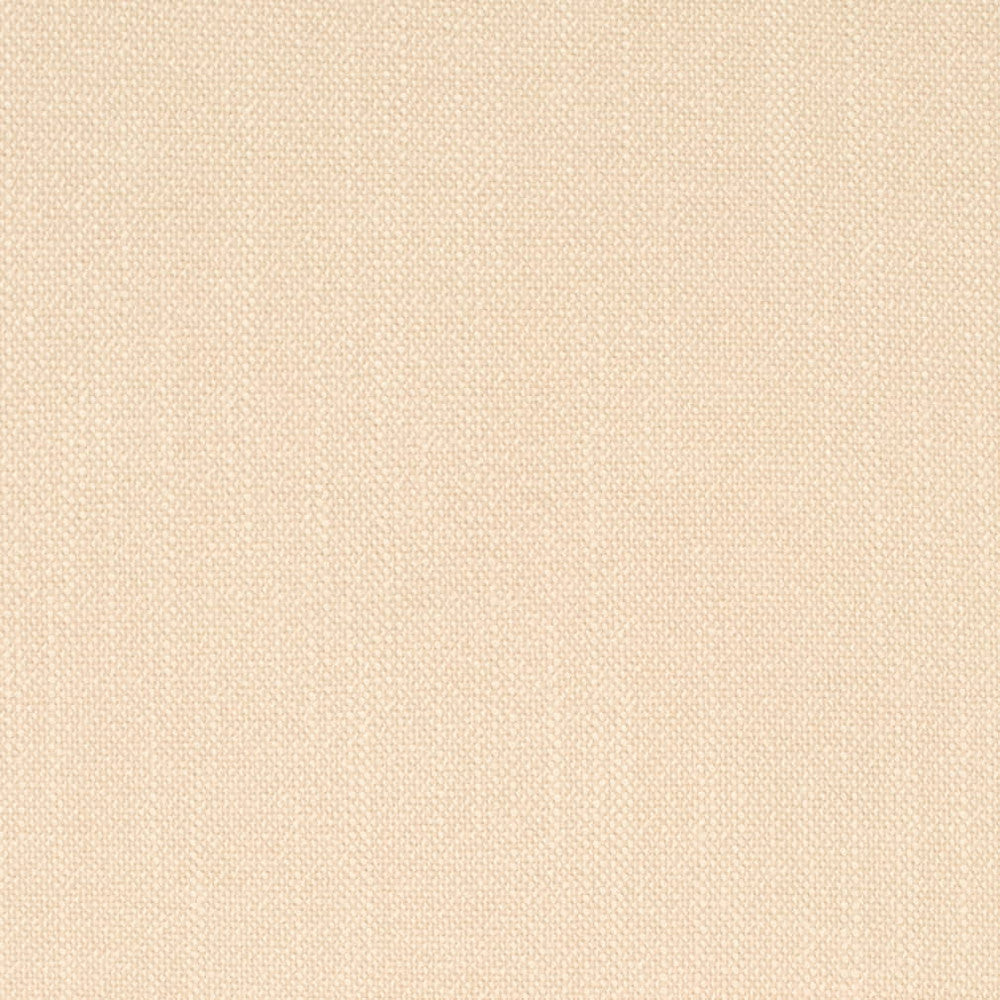 D4251 Putty by Charlotte Fabric Crypton Neutrals II 100% Polyester Finished in USA Exceeds 120,000 Wyzenbeek Rubs (Heavy Duty) No Repeat 54 Inches - Fabric Carolina -
