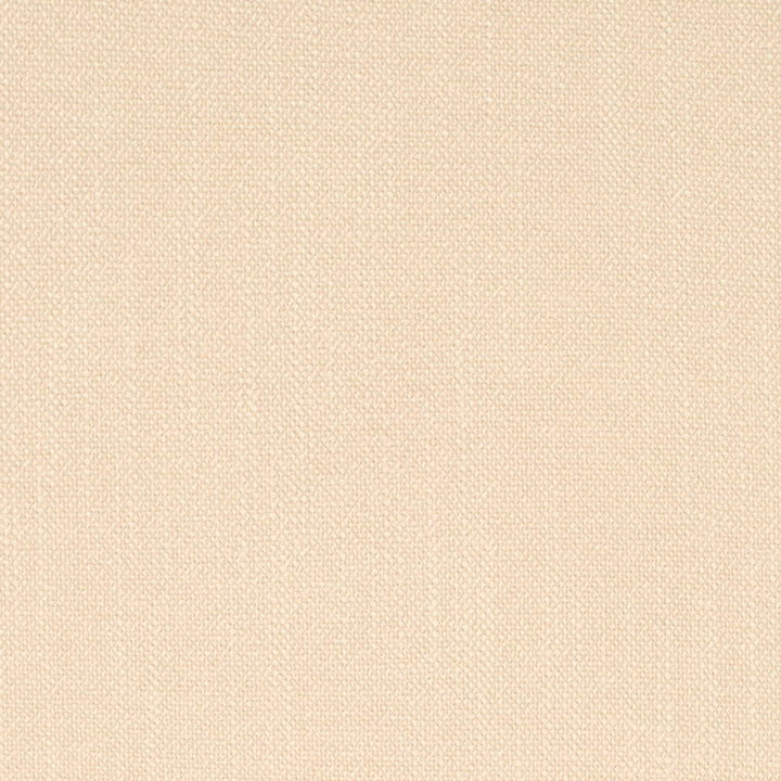 D4251 Putty by Charlotte Fabric Crypton Neutrals II 100% Polyester Finished in USA Exceeds 120,000 Wyzenbeek Rubs (Heavy Duty) No Repeat 54 Inches - Fabric Carolina -