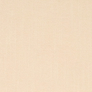 D4251 Putty by Charlotte Fabric