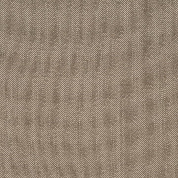 D4256 Clay by Charlotte Fabric Crypton Neutrals II 100% Polyester Finished in USA Exceeds 120,000 Wyzenbeek Rubs (Heavy Duty) No Repeat 54 Inches - Fabric Carolina -