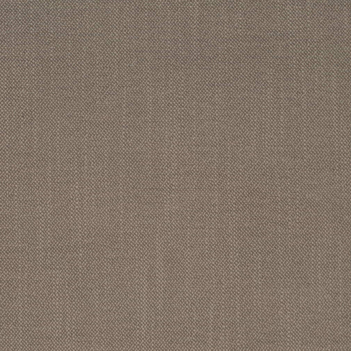 D4257 Pumice by Charlotte Fabric Crypton Neutrals II 100% Polyester Finished in USA Exceeds 120,000 Wyzenbeek Rubs (Heavy Duty) No Repeat 54 Inches - Fabric Carolina -