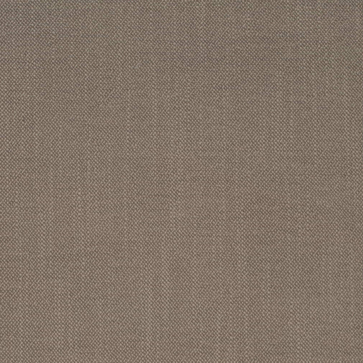 D4257 Pumice by Charlotte Fabric Crypton Neutrals II 100% Polyester Finished in USA Exceeds 120,000 Wyzenbeek Rubs (Heavy Duty) No Repeat 54 Inches - Fabric Carolina -