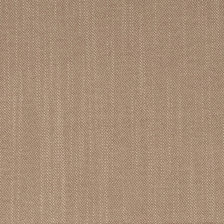 D4259 Oatmeal by Charlotte Fabric Crypton Neutrals II 100% Polyester Finished in USA Exceeds 120,000 Wyzenbeek Rubs (Heavy Duty) No Repeat 54 Inches - Fabric Carolina -