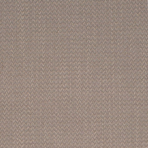 D4261 Driftwood by Charlotte Fabric
