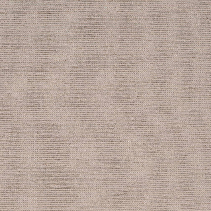 D4264 Fossil by Charlotte Fabric Crypton Neutrals II 90% Polyester, 10% Linen Finished in USA Exceeds 200,000 Wyzenbeek Rubs (Heavy Duty) No Repeat 54 Inches - Fabric Carolina -