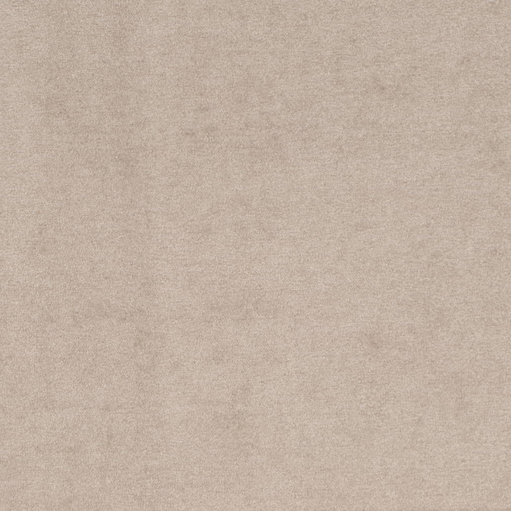 D4270 Dove by Charlotte Fabric Crypton Neutrals II 82% Polyester, 18% Acrylic Finished in USA Exceeds 200,000 Wyzenbeek Rubs (Heavy Duty) No Repeat 54 Inches - Fabric Carolina -