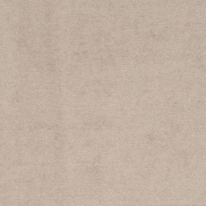 D4270 Dove by Charlotte Fabric Crypton Neutrals II 82% Polyester, 18% Acrylic Finished in USA Exceeds 200,000 Wyzenbeek Rubs (Heavy Duty) No Repeat 54 Inches - Fabric Carolina -