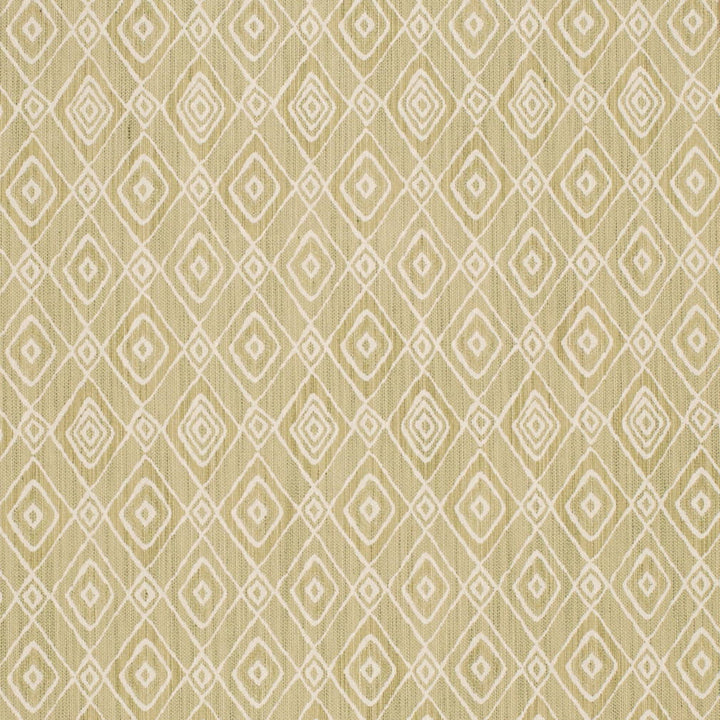 D4335 Pistachio by Charlotte Fabric Vibrant Wovens II 100% Solution Dyed Polyester, Waterproof Backing Asia Exceeds 100,000 Wyzenbeek Rubs (Heavy Duty) Horizontal 6.5" x Vertical 9.5" 54 Inches - Fabric Carolina -
