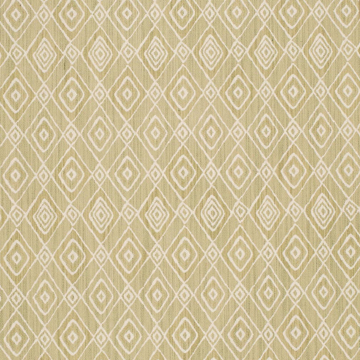 D4335 Pistachio by Charlotte Fabric Vibrant Wovens II 100% Solution Dyed Polyester, Waterproof Backing Asia Exceeds 100,000 Wyzenbeek Rubs (Heavy Duty) Horizontal 6.5" x Vertical 9.5" 54 Inches - Fabric Carolina -